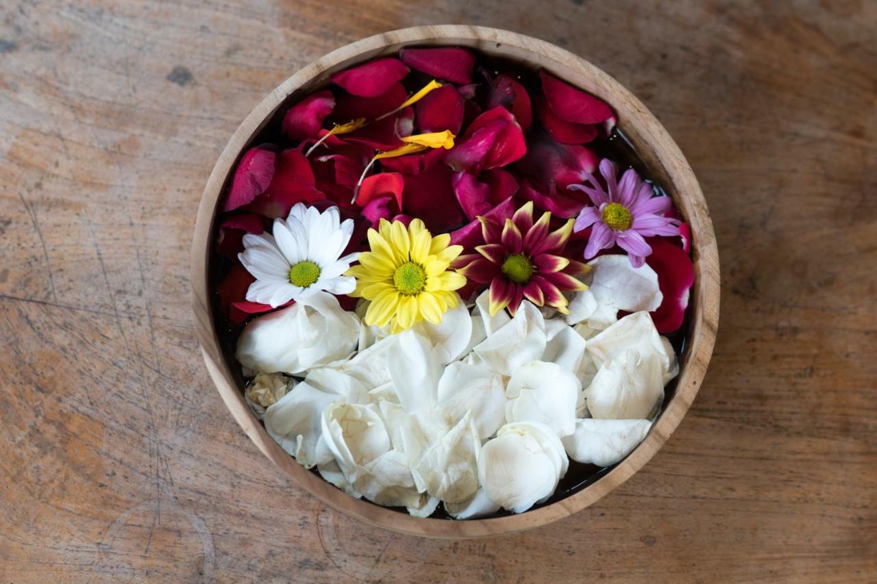 Ari Cottages Ubud 외부 사진
